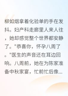 爆款小说老公为小姑子要和我离婚主角柳如烟陈慕白陈雅琳全文在线完本阅读