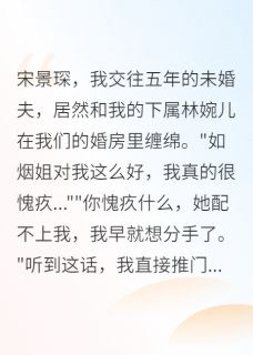 傅云深宋景琛是哪部小说的主角 分手后五天我成了前男友白月光全文无弹窗