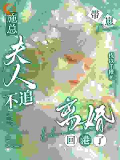 孟纯施承淮小说离婚后带崽回港，前夫疯追免费阅读