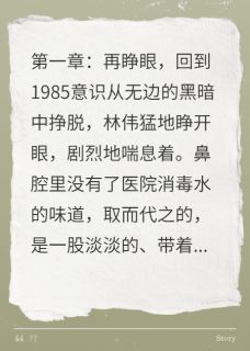 【热文】重生八零，我把老婆宠成了首富主角林伟苏月小说全集免费阅读-暗夜阅读网