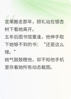 365张便签说爱你(全章节)-言茉顾礼在线阅读