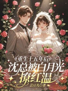重生十五年后，沈总被白月光撩红温小说(完本)-江宛然沈承骁无错版阅读