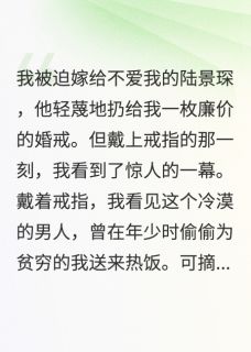 冷漠陆总，请把深情收一收小说-陆景琛林薇薇全篇阅读-暗夜阅读网