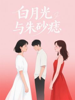 错过的朱砂痣，骗我的白月光小说全集(苏晴沈月林远)无弹窗广告阅读
