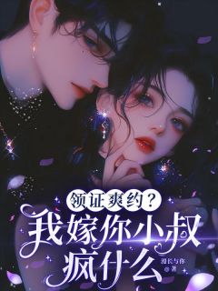 领证爽约？我嫁你小叔疯什么小说主角是沈书柠陆司砚全文完整版阅读-暗夜阅读网