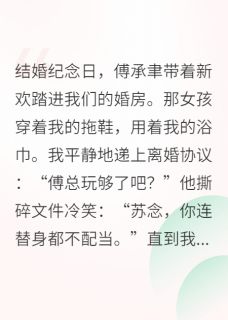 念念再无归期苏念傅承聿小说_念念再无归期完结版阅读