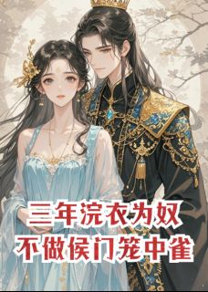 林鸢念念小说章节目录阅读-三年浣衣为奴，不做侯门笼中雀在哪免费看-暗夜阅读网