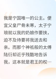 独家宁昭全本大结局小说阅读
