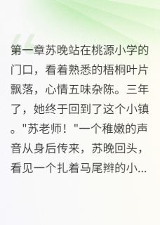 主角是苏晚程远的小说分手三年，他还在等我最完整版热门连载