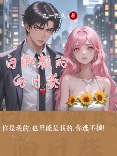 白卿颜的向日葵(新书)大结局在线阅读