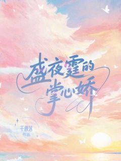 快手盛夜霆的掌心娇小说全本章节大结局
