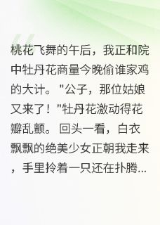 抖音爆款小说驸马从天降柳如烟王文书免费txt全文阅读