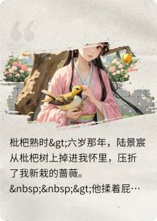 枇杷熟时(裴彻陆景宸晚晚)全文完整版阅读