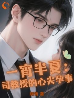 一宵半夏：司教授的心尖孕事章节全目录 苏念司严全文免费阅读