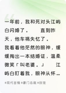(独家)和死对头闪婚后，他失忆了江屿白齐墨知小说