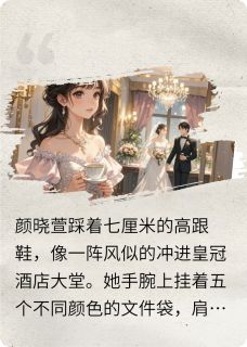 婚礼策划师与安保先生的浪漫邂逅小说的书名是什么