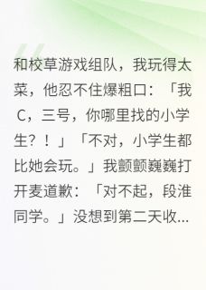 段淮宁好小说最后结局  段淮宁好完结版免费阅读-暗夜阅读网