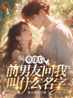 六年后相遇，男神闯进我心头温梨叶墨白-小说txt全文阅读-暗夜阅读网