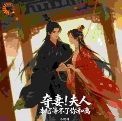 夺妻！夫人，本官等不了你和离【全章节】白念珍卫文霁完结版免费阅读
