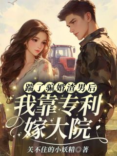 书荒必备踹了骗婚渣男后，我靠专利嫁大院！全文章节阅读