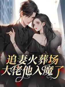 顾笙霍屿程小说<追妻火葬场，大佬他入魔了>全文在线阅读-暗夜阅读网