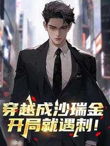 抖音穿越成沙瑞金，开局就遇刺！​​txt小说阅读-暗夜阅读网