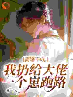 叶星移姜执全本小说 离婚不成，我扔给大佬一个崽跑路全文免费在线阅读