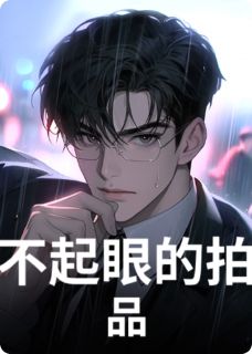 优质新书不起眼的拍品最新章节小说全文阅读