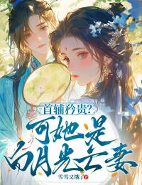 主人公黎昭晏屿桉小说首辅矜贵？可她是白月光亡妻在线全文阅读