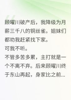 月薪三千八养前任总裁知乎小说最新章节阅读
