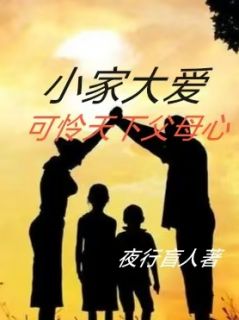 小家大爱，可怜天下父母心小说尚志文三秀免费阅读