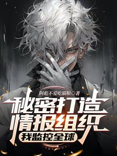 抖音林诚叶岚小说叫什么名字