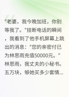 好书推荐老公给小三开亲密付我撤资他破产陈亦深苏晚晚全文在线阅读