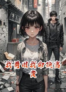 我哥用我命换富贵小说全集(江辰陆泽江国盛)无弹窗广告阅读-暗夜阅读网