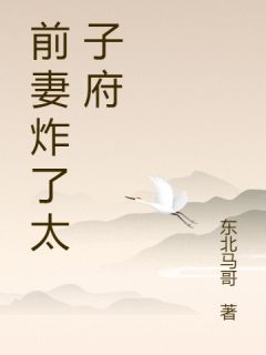 前妻炸了太子府小说免费阅读 苏晚棠刘铮大结局完整版-暗夜阅读网