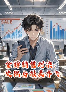 熬夜也要看完的金牌销售对决：火锅与报表齐飞小说推荐