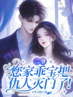 二爷，您家乖宝把仇人灭门了！精彩小说-二爷，您家乖宝把仇人灭门了！目录阅读