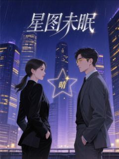 最新小说星图,未眠主角苏晚晴沈聿白全文在线阅读-暗夜阅读网