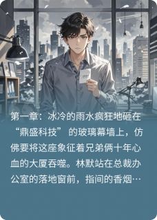 兄弟的致命赌局小说(完结)-林默林坤章节阅读-暗夜阅读网