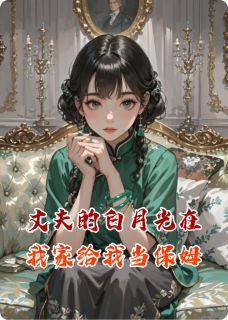 丈夫的白月光在我家给我当保姆完整版-沈修林婉在线全文阅读