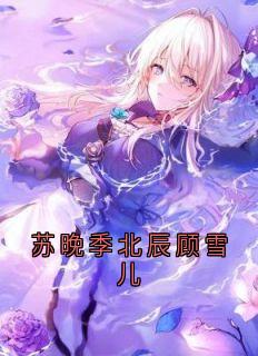 书荒必备苏晚季北辰顾雪儿全文章节阅读