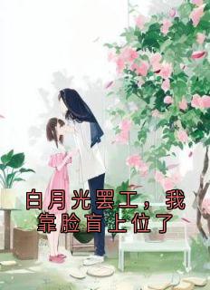 爆款小说白月光罢工，我靠脸盲上位了-主角苏念陆珩在线阅读