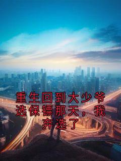 抖音小说重生回到大少爷选保镖那天，我弃选了，主角向岚许君彦最后结局小说全文免费