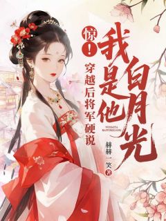 抖音小说惊！穿越后将军硬说我是他白月光主角叶夕宗政赫全文小说免费阅读