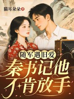 猫耳朵朵写的小说随军遇旧爱，秦书记他不肯放手安宁秦沉舟全文阅读