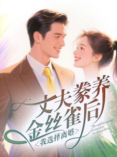 丈夫豢养金丝雀后，我选择离婚(洛风眠苏慕辰)最新章节