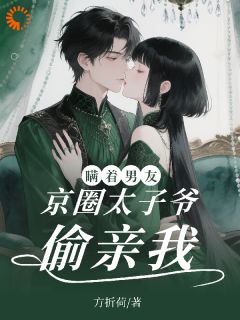 京圈太子爷跪求我公开恋情小说的书名是什么