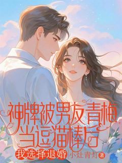 神牌被男友青梅当逗猫棒后，我选择退婚小说(完整版)-江辰沈雨薇章节阅读