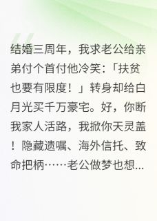 抖音季时宴沈放林婉小说叫什么名字
