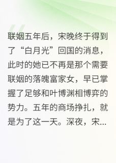 主人公宋晚叶博渊在线免费试读离婚后，白月光他黑化了最新章节列表